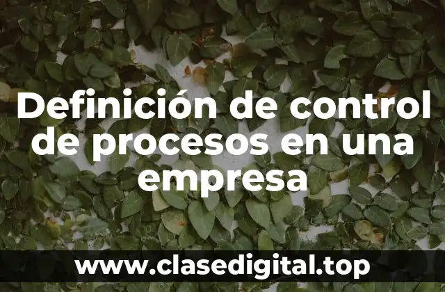 Definición de control de procesos en una empresa
