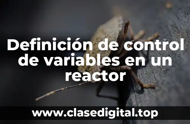 Definición de control de variables en un reactor