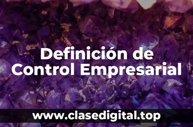 Definición de Control Empresarial