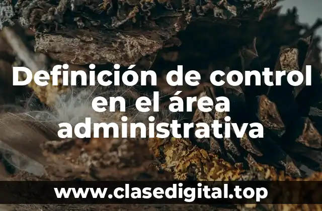 Definición de control en el área administrativa