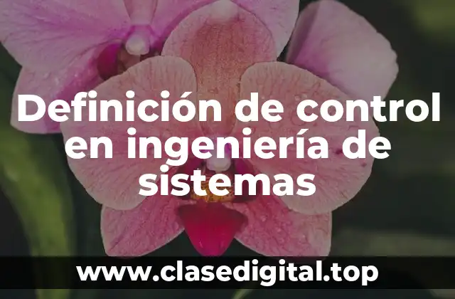 Definición de control en ingeniería de sistemas