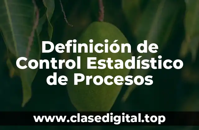 Definición técnica de Control Estadístico de Procesos