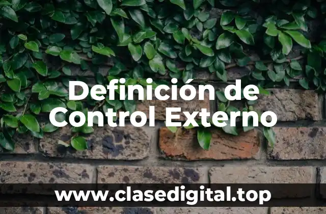 Definición de Control Externo