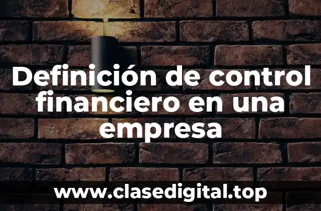 Definición de control financiero en una empresa