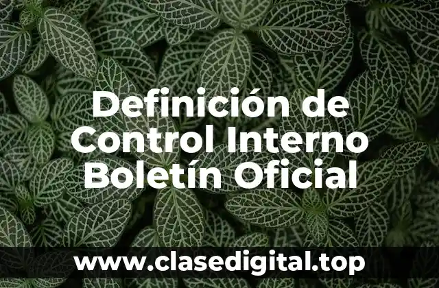 Definición de Control Interno Boletín Oficial