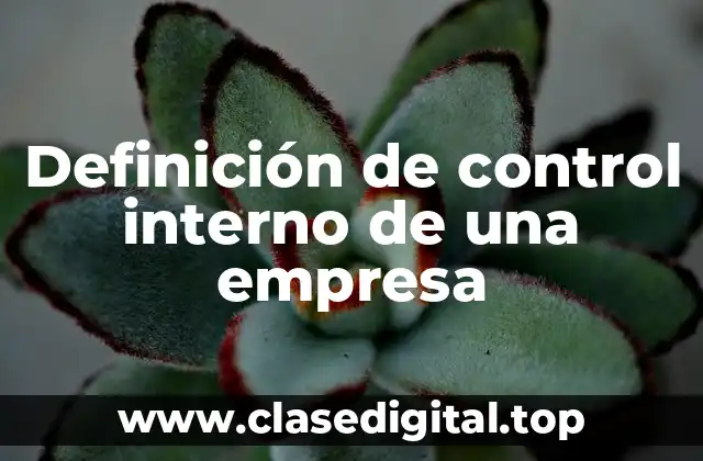 Definición de control interno de una empresa
