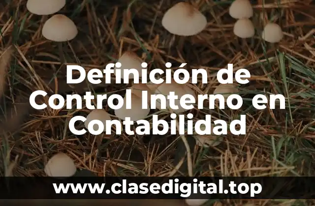 Definición de Control Interno en Contabilidad