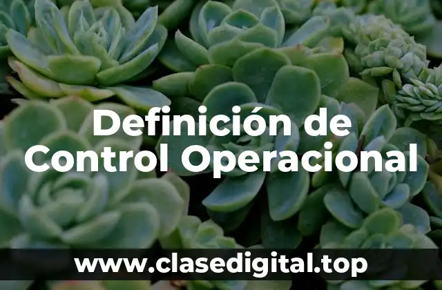 Ejemplos de Control Operacional