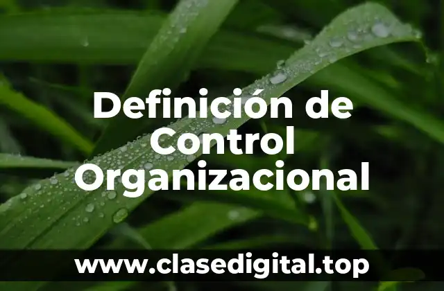 Definición Técnica de Control Organizacional