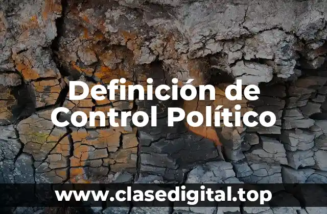 Definición de Control Político