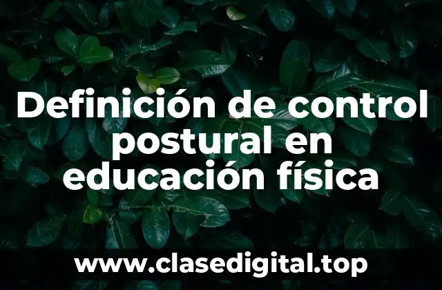 Definición de control postural en educación física