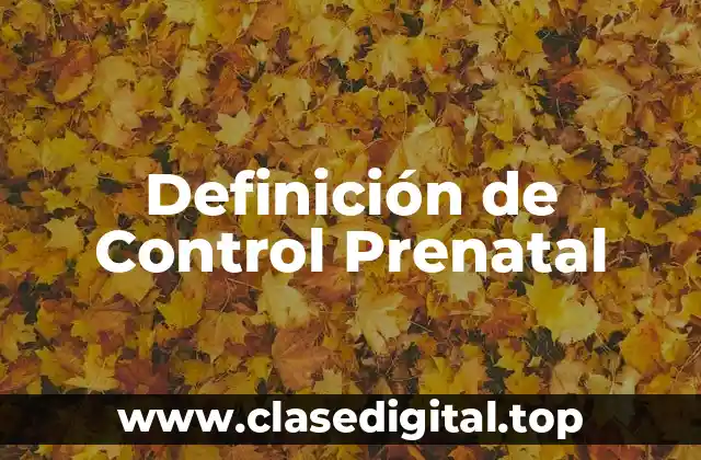 Definición de Control Prenatal