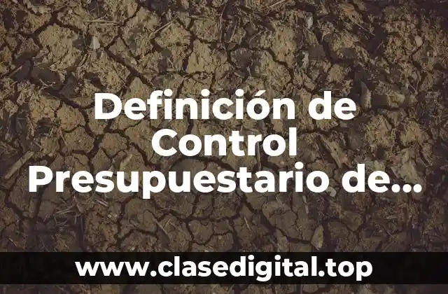 Ejemplos de Control Presupuestario de un Área