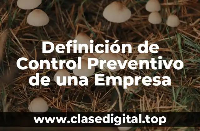Definición de Control Preventivo de una Empresa