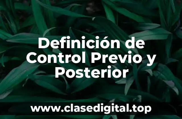 Definición de Control Previo y Posterior