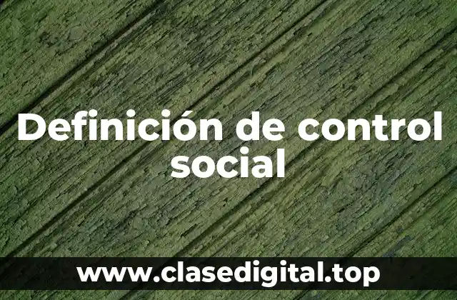 Definición técnica de control social