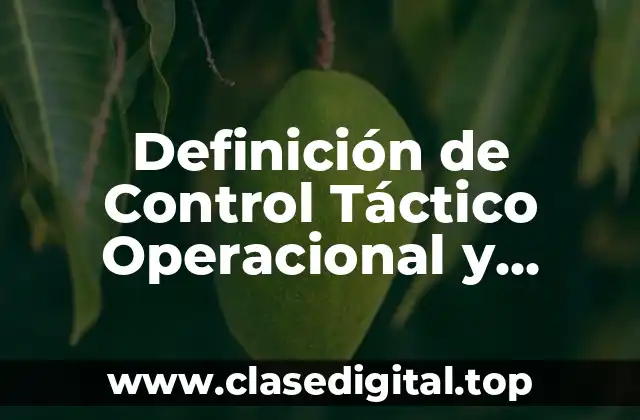Definición de Control Táctico Operacional y Recurrente
