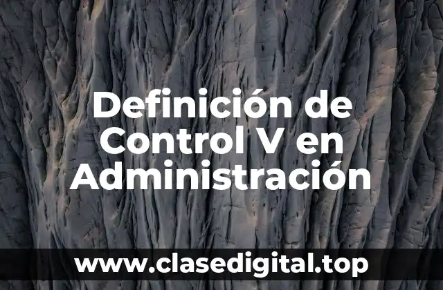 Definición de Control V en Administración