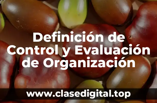 Definición de Control y Evaluación de Organización