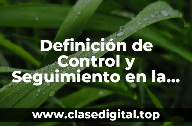 Ejemplos de Control y Seguimiento en la Logística
