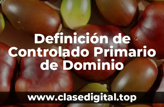 Definición de Controlado Primario de Dominio