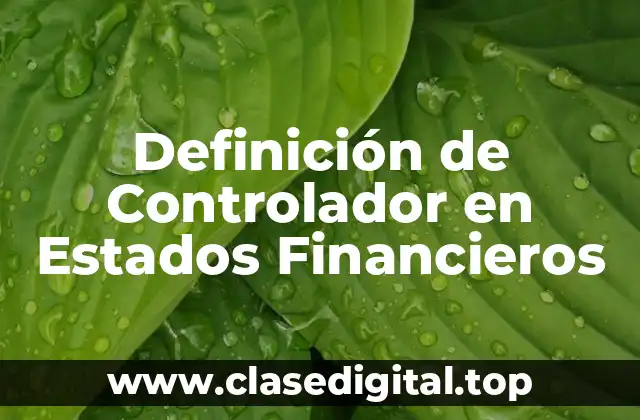 Definición de Controlador en Estados Financieros