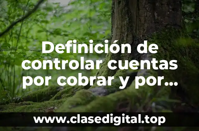 Definición de controlar cuentas por cobrar y por pagar