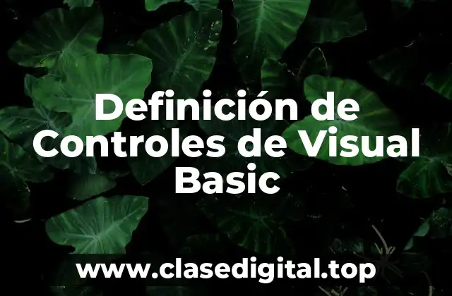 Definición de Controles de Visual Basic