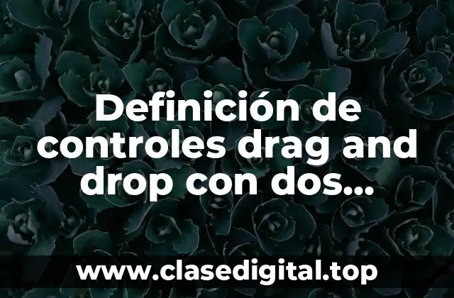 Definición de controles drag and drop con dos columnas