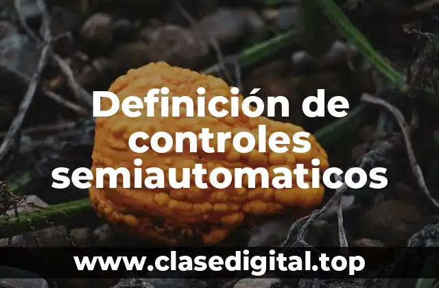 Definición de controles semiautomaticos