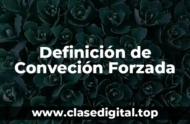 Definición de Conveción Forzada