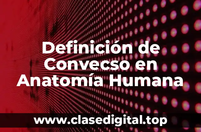 Definición de Convecso en Anatomía Humana