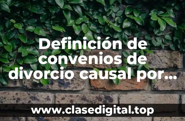 Definición de convenios de divorcio causal por infidelidad