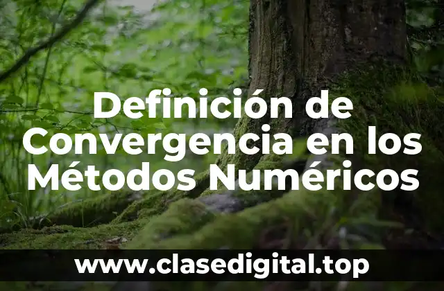 Definición de Convergencia en los Métodos Numéricos