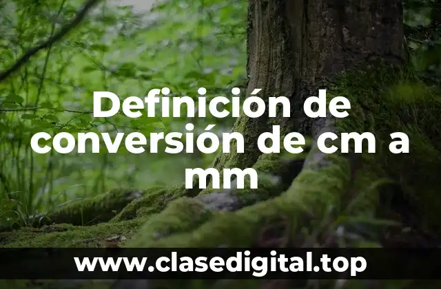 Ejemplos de conversión de cm a mm