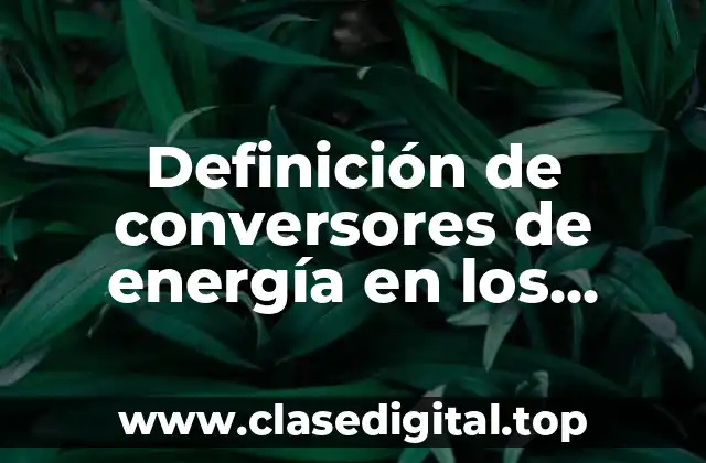 Ejemplos de conversores de energía en los procesos de información