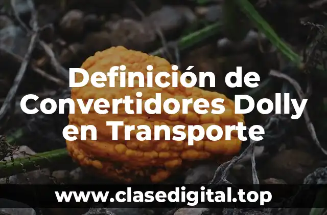 Definición de Convertidores Dolly en Transporte