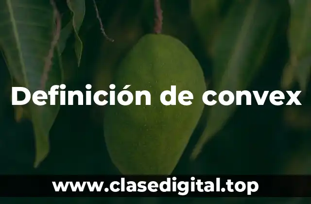 Definición de convex