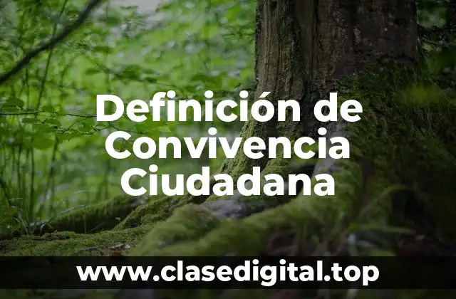 Definición de Convivencia Ciudadana
