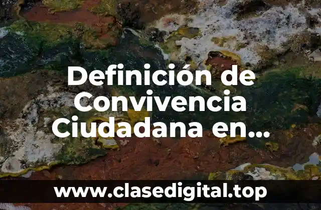 Definición de Convivencia Ciudadana en Colombia