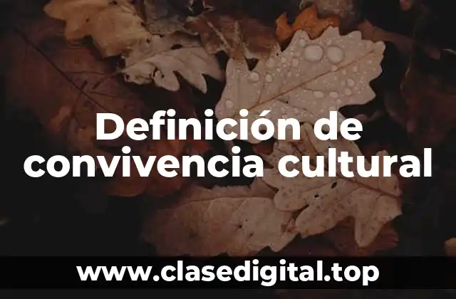 Definición de convivencia cultural