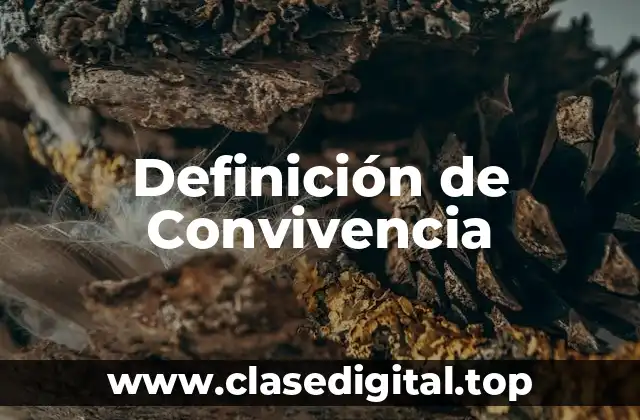 Definición técnica de Convivencia