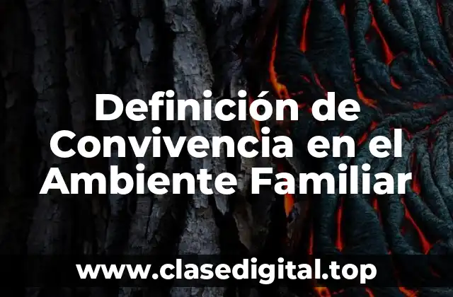 Definición de Convivencia en el Ambiente Familiar