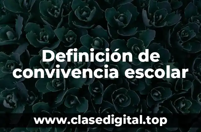 Definición de convivencia escolar
