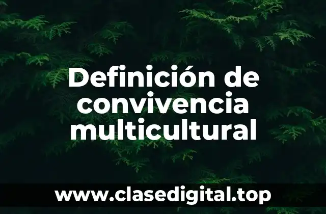 Definición de convivencia multicultural