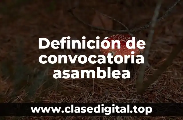 Definición de convocatoria asamblea