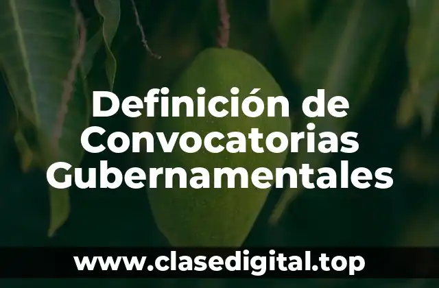 Definición de Convocatorias Gubernamentales