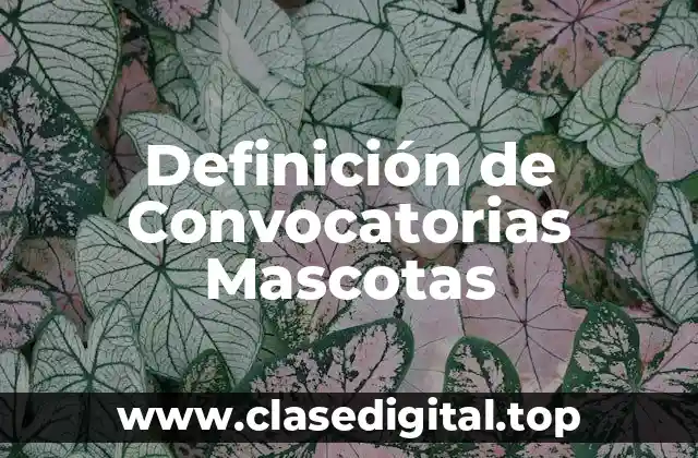Definición de Convocatorias Mascotas