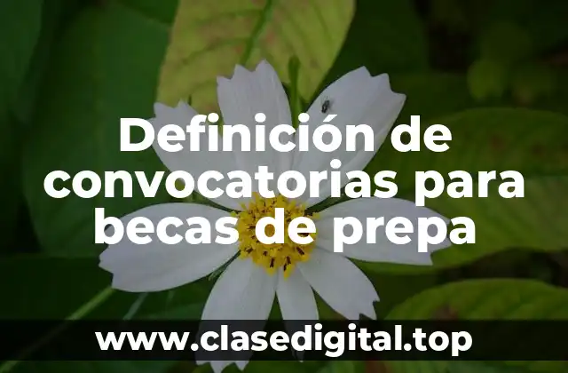 Definición de convocatorias para becas de prepa