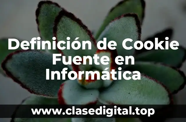 Definición de Cookie Fuente en Informática